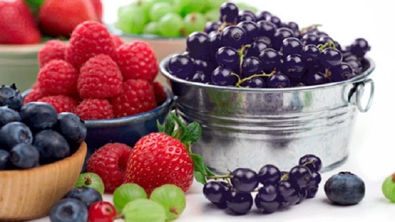 افضل جراح سرطان ثدي في العراق |الفلافينويدات (Flavonoids) والبيوفلافينويدات (Bioflavonoid